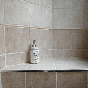 a soap dispenser sitting on a shelf in a bathroom at Pane&Burro in Vercelli