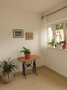 Fotografie z fotogalerie ubytování Apartments Davorka v Rabu