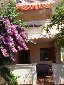 Zahrada ubytování Apartments Davorka