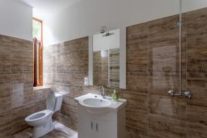a bathroom with a toilet and a sink and a mirror at Pavilon Panzió Étterem és Pizzéria in Gyomaendrőd +11 photos