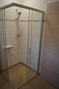 een douche in een badkamer met een glazen deur bij Braumeister Döbler - Ferienwohnungen in Bad Windsheim