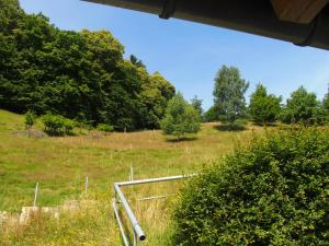 Příroda nedaleko apartmánu + 2 fotografie