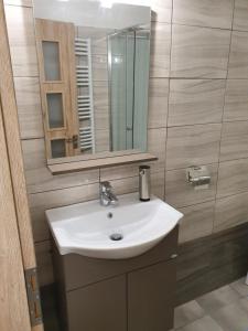 a bathroom with a sink and a mirror at Komfort apartman in Veszprém