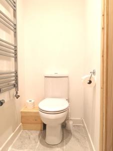 a bathroom with a white toilet in a room at Little Mill, Harbertonford, Totnes. - Entire place. in Totnes