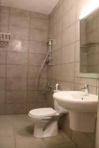 a bathroom with a toilet and a sink at Nomads Hotel Petra in Wadi Musa