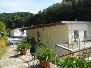 uma casa com plantas em frente em Ferienwohnung im Prossner Gründel em Bad Schandau