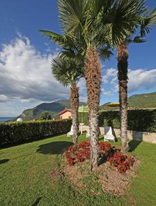 two palm trees and flowers in a yard at Residence Primera Rompala, GTSGroup in Tignale