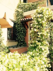 a building with a window covered in plants at Albergo Ristorante Bergallo in Tovo San Giacomo