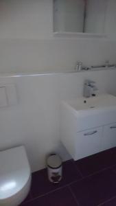 a white bathroom with a toilet and a sink at Waldhaus Halvor in Zichtau