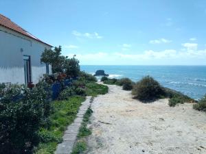 a house on a hill next to the ocean at CASA DA LAGINHA in Zambujeira do Mar