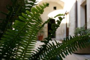 Fotografie z fotogalerie ubytování Dimora Storica ''Casa Sicuro'' v destinaci Martano