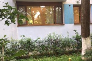 En have udenfor Peles Green Apartment