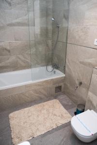 a bathroom with a shower with a toilet and a sink at Apartman Donner Centar IV in Subotica +58 photos