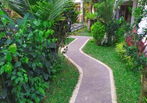 a walkway through a garden with green plants at Swan Inn in Ubud
