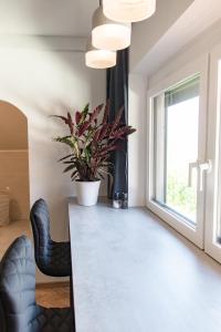 a dining room with a table and a potted plant at Lackenbauer in Muggenau +64 photos