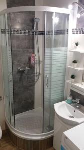 Koupelna v ubytování Enjoy Apartment