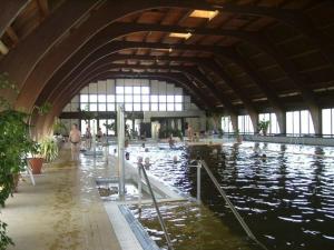 The swimming pool at or close to Csányi vendégház