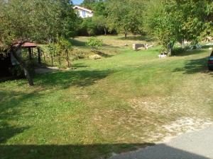 Příroda nedaleko apartmánu