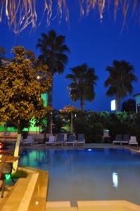 una piscina con sillas y palmeras por la noche en Tuncer Garden Hotel, en Kemer