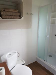 Koupelna v ubytování Chatki u Patki + 24 fotografií