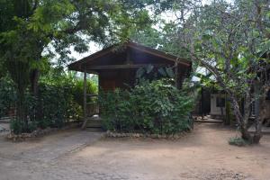 a small woodenshed in the middle of some trees at Triniti Oysterbay in Dar es Salaam