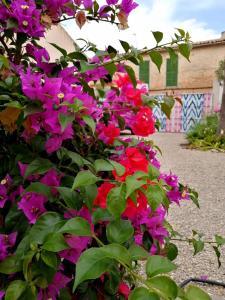 Gallery image of Ten Mallorca - Adults Only in Sineu +111 photos