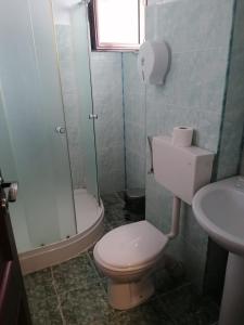 y baño con aseo, ducha y lavamanos. en Pensiunea Pomi -Oesti, en Albeştii Pămînteni