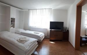 Habitación con 2 camas y TV de pantalla plana. en Brezno - 2 izbový apartmán, en Brezno