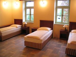 um quarto com três camas e duas janelas em VEGANFRESH em Medvode