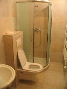 La salle de bains est pourvue d'une douche, de toilettes et d'un lavabo. dans l'établissement VEGANFRESH, à Medvode