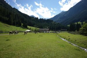 Paesaggio naturale nelle vicinanze dell'agriturismo
