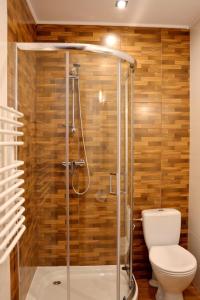 La salle de bains est pourvue d'une douche et de toilettes. dans l'établissement Przystań Park Dolny, à Szczawnica