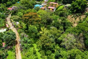 an aerial view of a forest of trees and a house at La Terraza Guest House B&B in Grecia