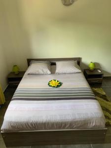 Postel nebo postele na pokoji v ubytování ZANNANNA F1 de charme tout équipé Le Moule avec piscine + 37 fotografií