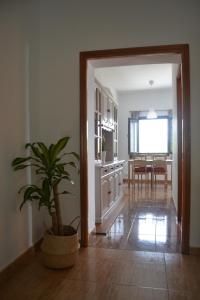 ein Wohnzimmer mit einer Topfpflanze und eine Küche in der Unterkunft CASA ROAL in San Andrés