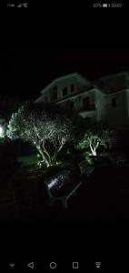 two trees in front of a house at night at Residence Baia Blu Falcone in Falcone