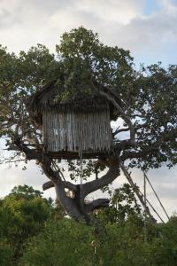 Foto dalla galleria di Mida Creek Nature Camp a Watamu