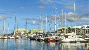 a bunch of boats docked in a harbor at Villa Rosa Karibella in Saint-François