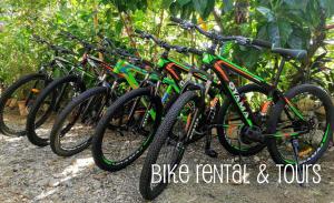 une rangée de vélos garés l'un à côté de l'autre dans l'établissement Jungle Roots, à Tena