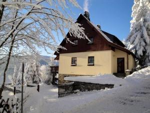 Ferienhaus-Bergtraum-Ferienwohnung-Fanni v zimě