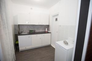 Dapur atau dapur kecil di apartman tušek-Bjelovar