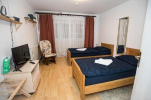 a bedroom with two beds and a tv and a desk at apartman tušek-Bjelovar in Ždralovi