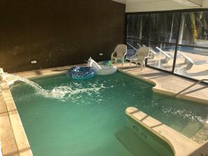 Swimming pool sa o malapit sa Apart-Hotel Gibert's House