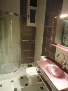 a bathroom with a sink and a toilet and a shower at Freedom Hostel in Cairo