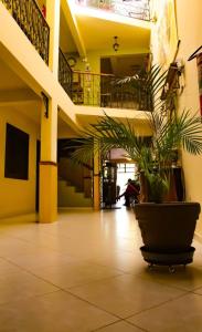 a large potted plant in the middle of a building at Pousada Bella Morretes in Morretes