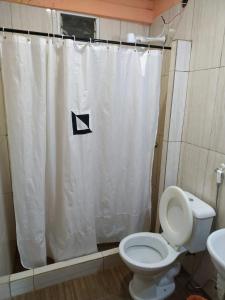Iguazu apart hostel tesisinde bir banyo
