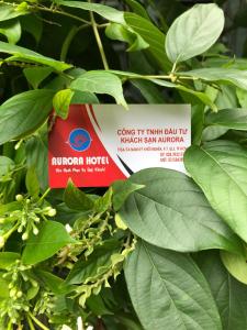 a box of mulch in a tree with leaves at Aurora Hotel in Ho Chi Minh City