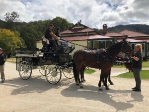 Gallery image of Canungra Valley Cottage in Canungra