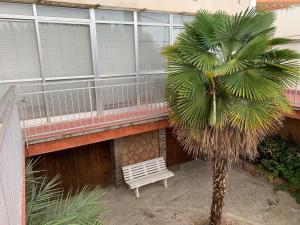 A balcony or terrace at CAL GUINEU