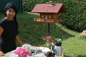 Zahrada ubytování Pension Pock